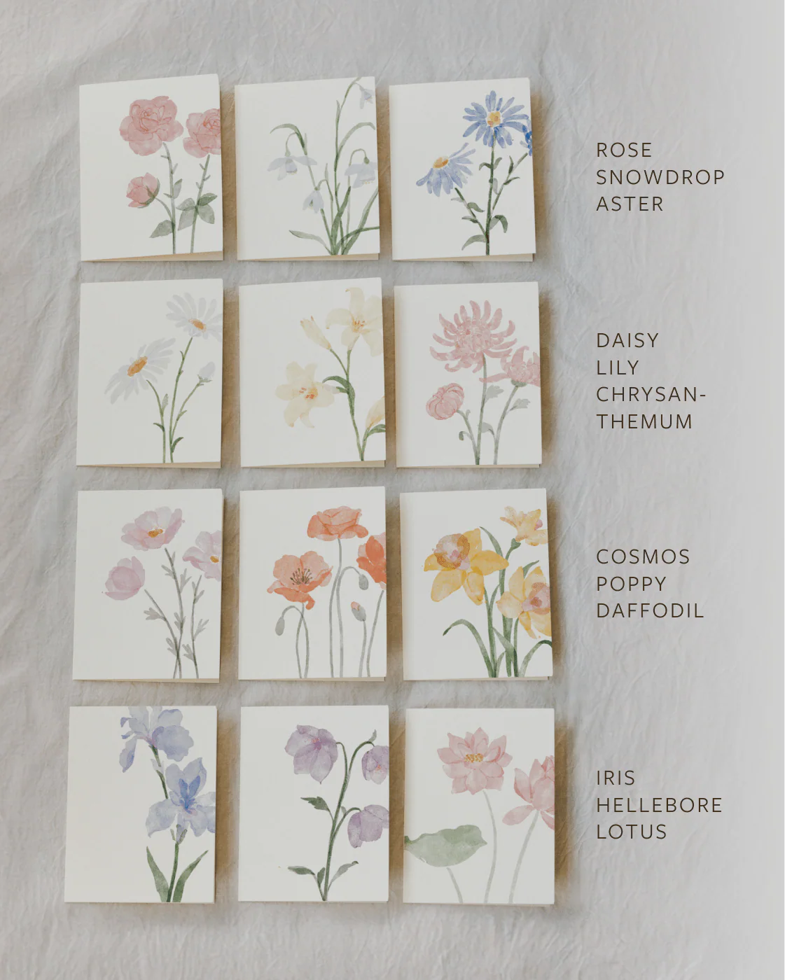 Flora Greeting Cards - Image 6