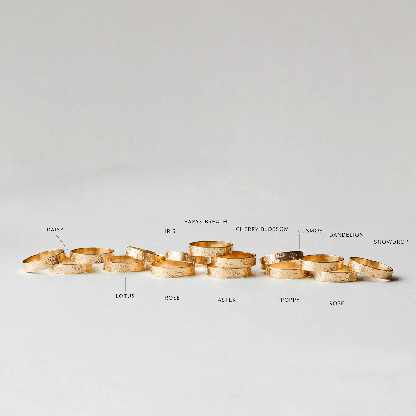 Flora Meuse Band - Image 11