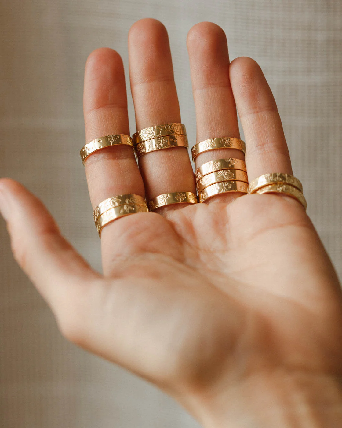 Flora Meuse Band - Image 14