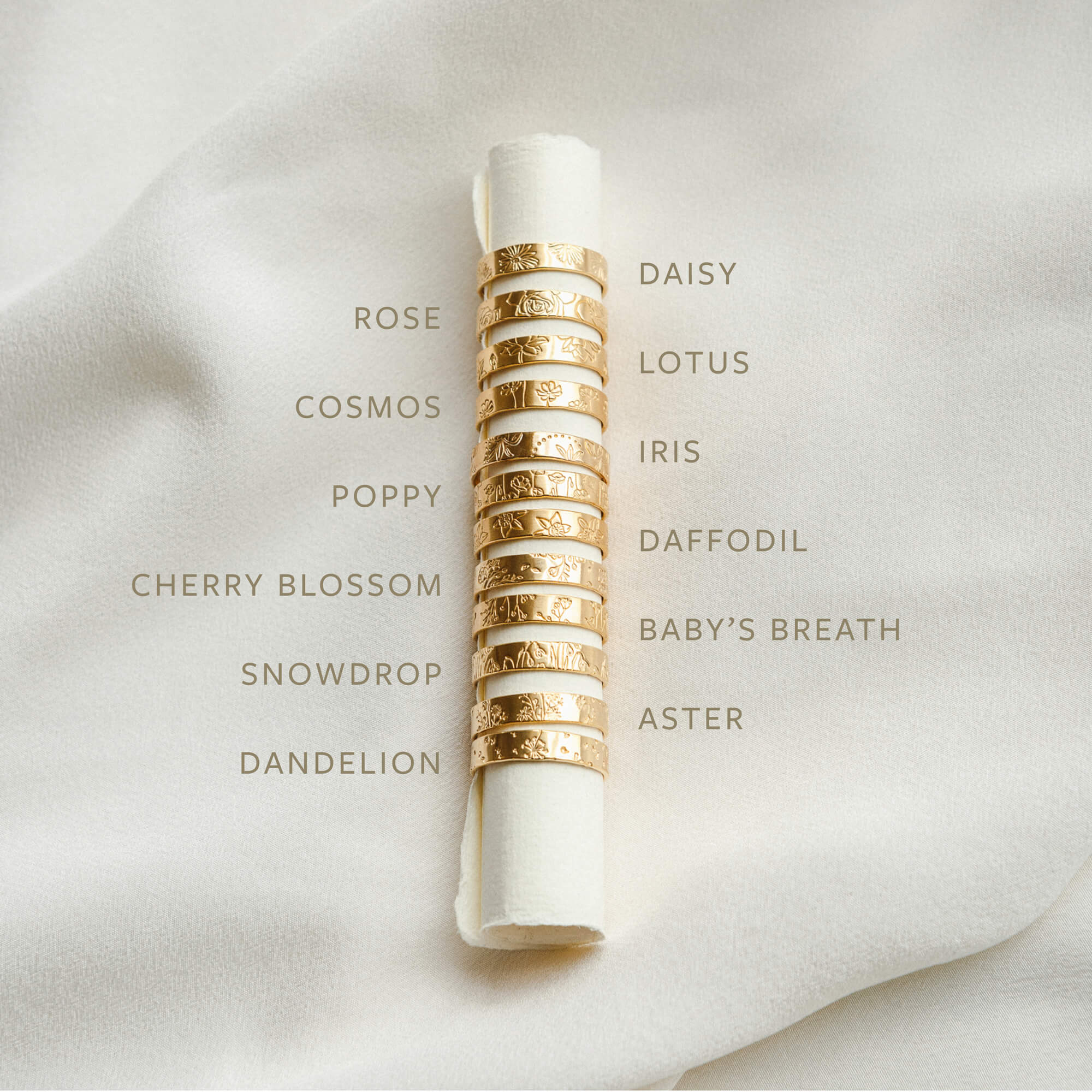 Flora Meuse Band - Image 5