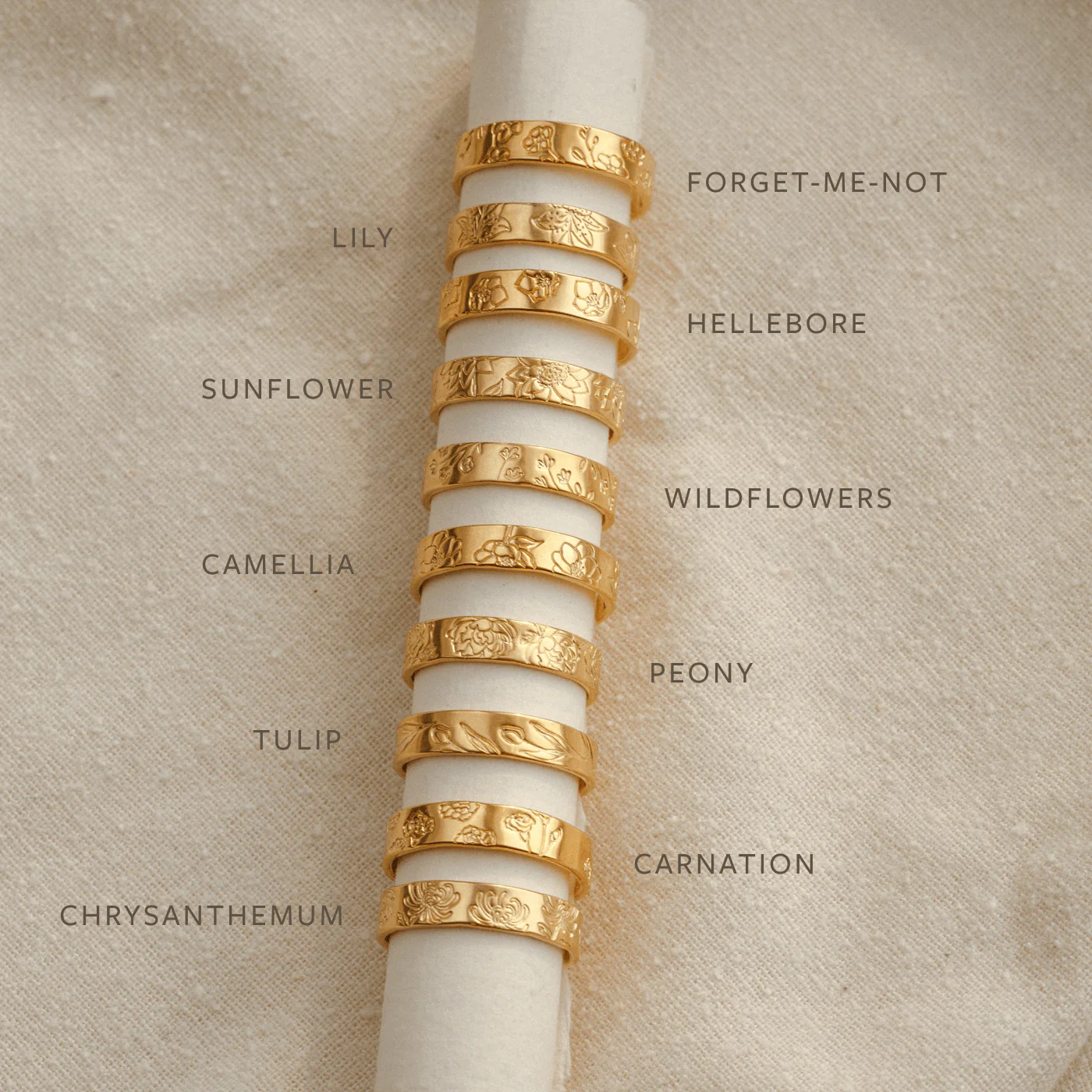 Flora Meuse Band - Image 8