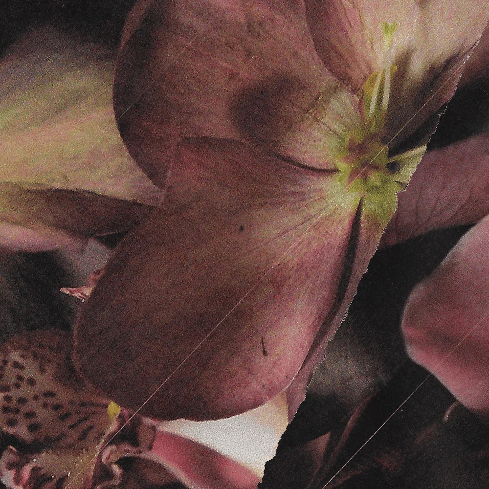 Summer Haiku Studs - Image 5