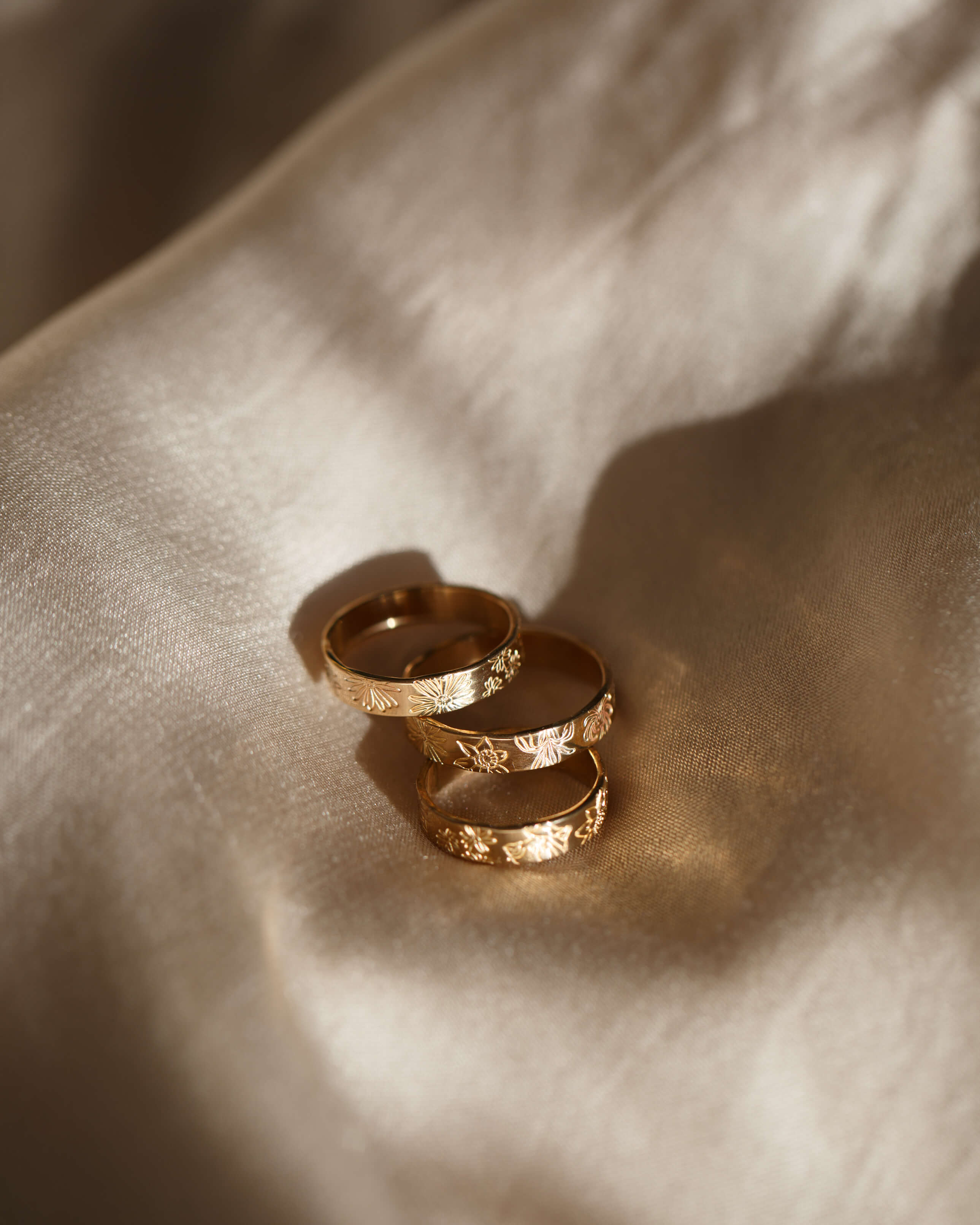 My Garden Meuse Band - Image 13