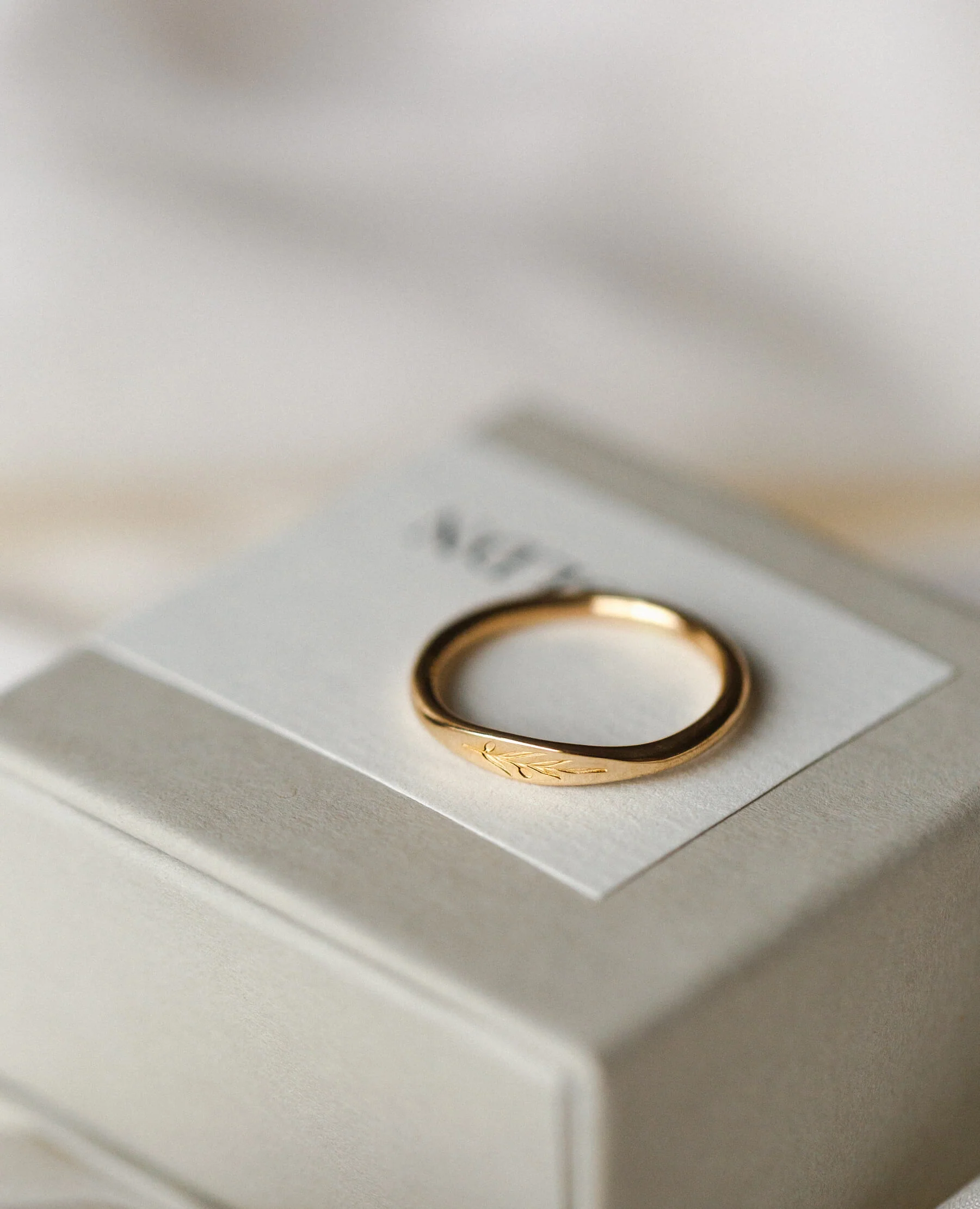 Olive Branch Signet - Image 7