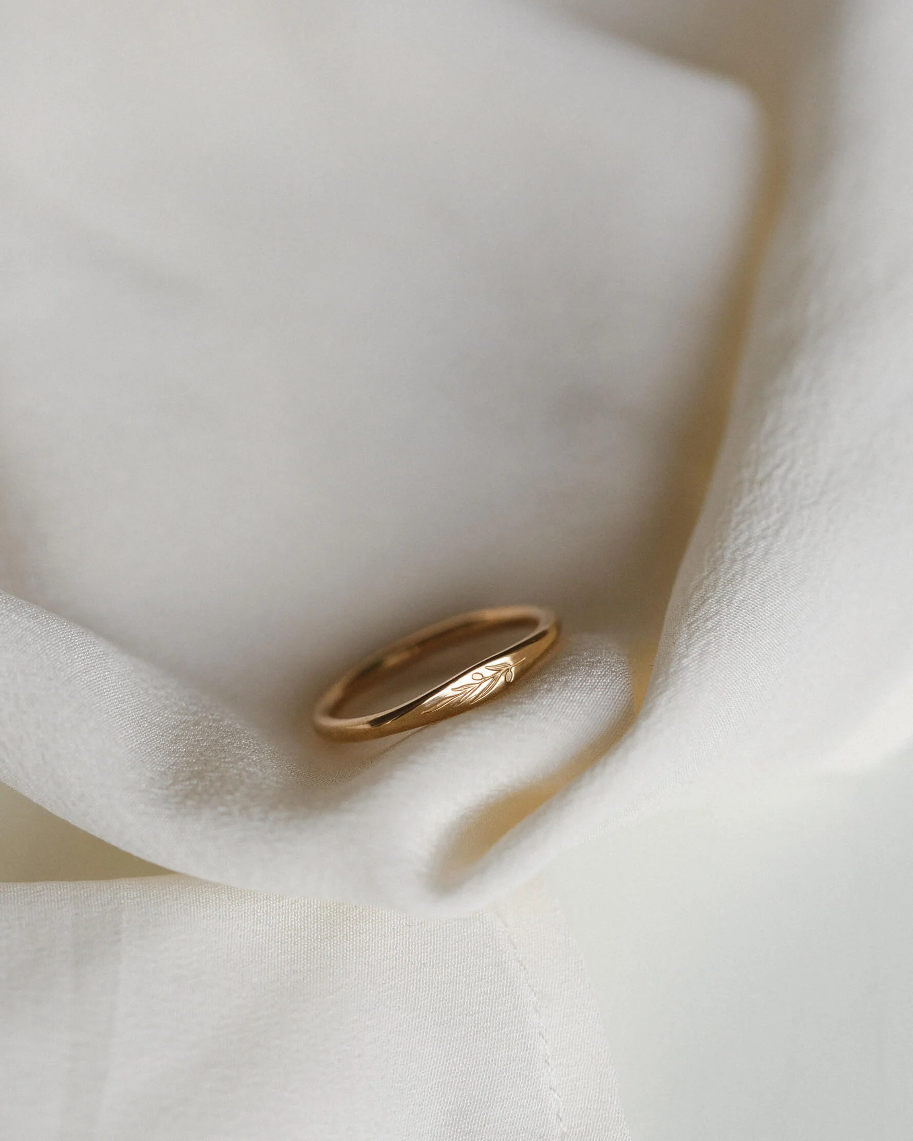 Olive Branch Signet - Image 8