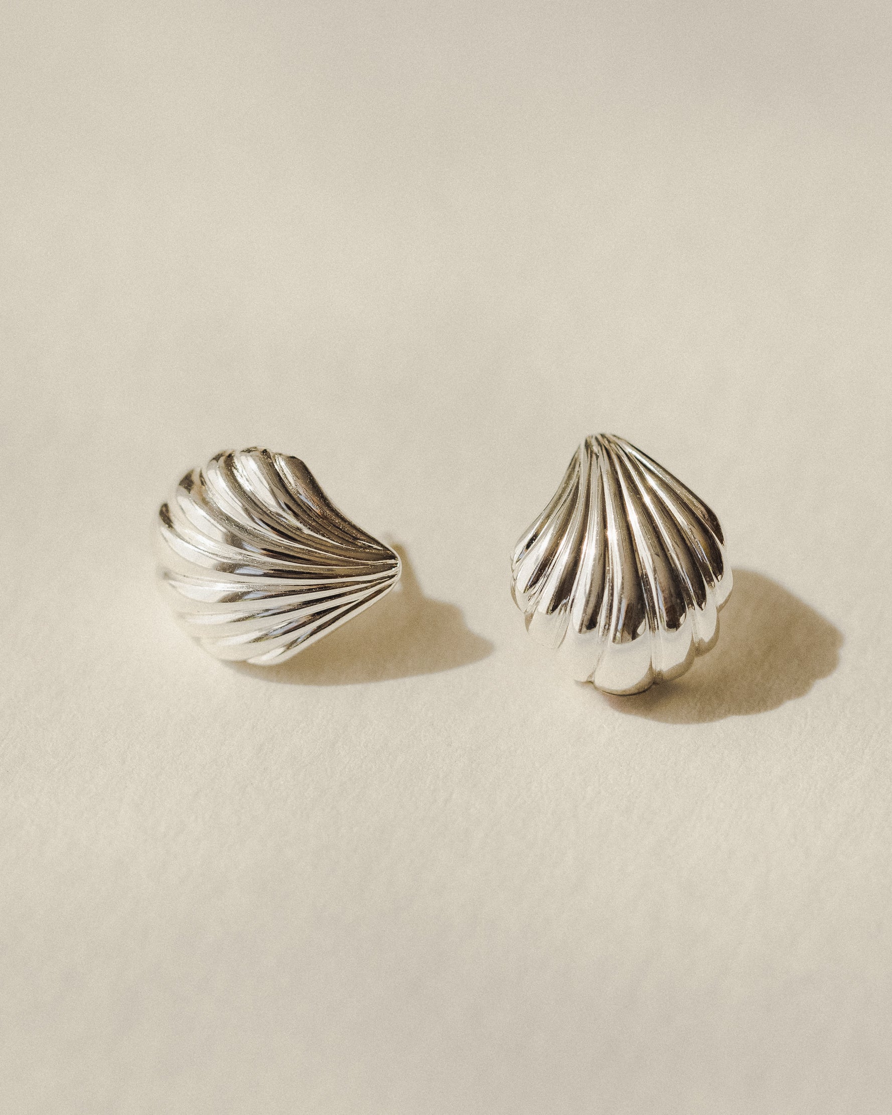Seashell Studs - Image 4
